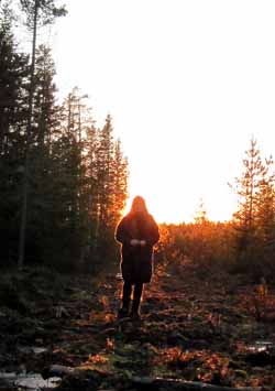 Annandagen i Hörneåskogen